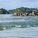 A catástrofe de Brumadinho – Nota da Prelazia do Xingu