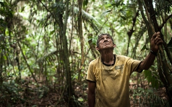 A Amazônia como lugar teológico e seus clamores