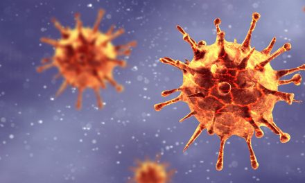 A realidade da Pandemia do Coronavírus (Covid 19)