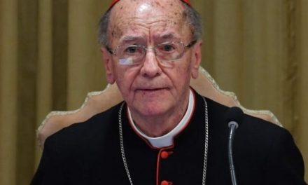 Cardeal Hummes é presidente da recém criada Conferência Eclesial da Amazônia