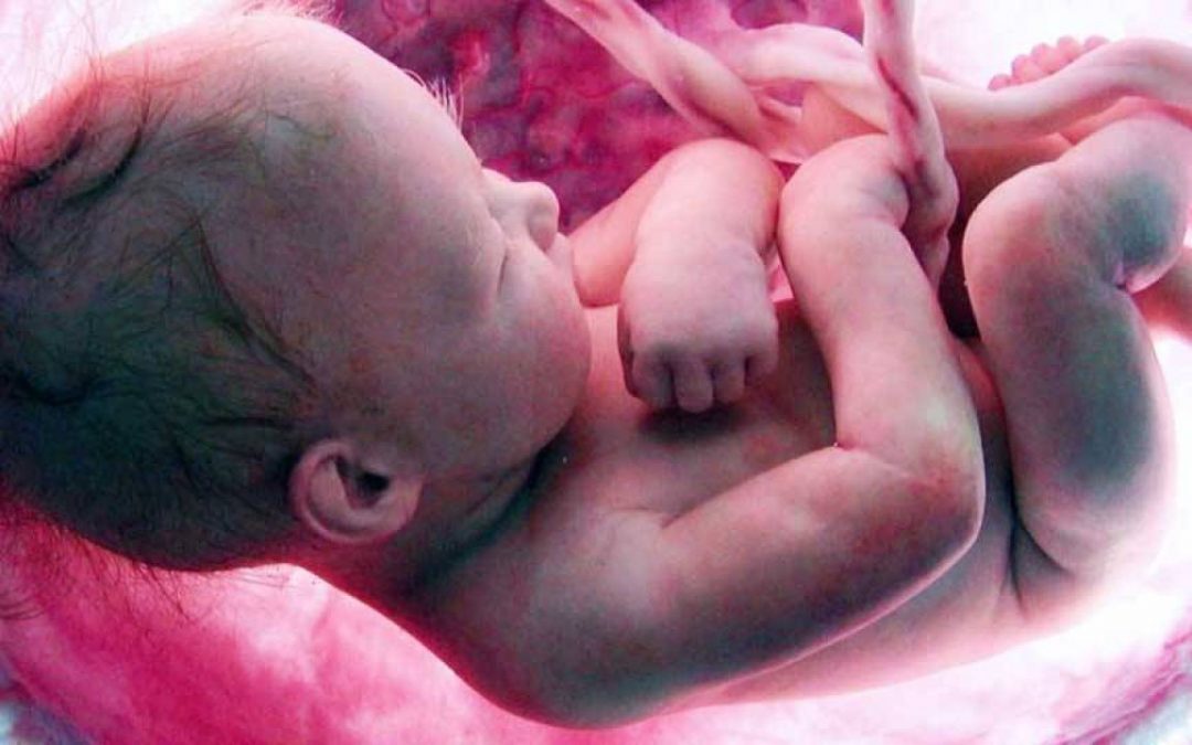 Artigo: Ideologias defensoras do aborto e seus argumentos