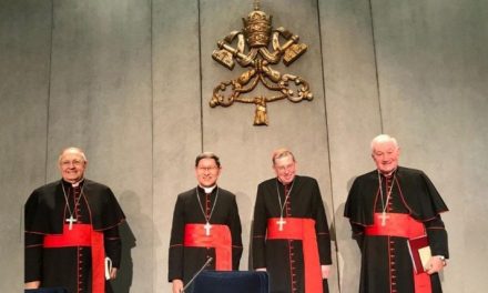 Vaticano lança Vade Mecum com diretrizes para avançar no caminho ecumênico