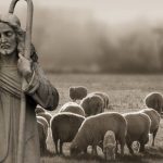 Artigo: O pastor e seu rebanho