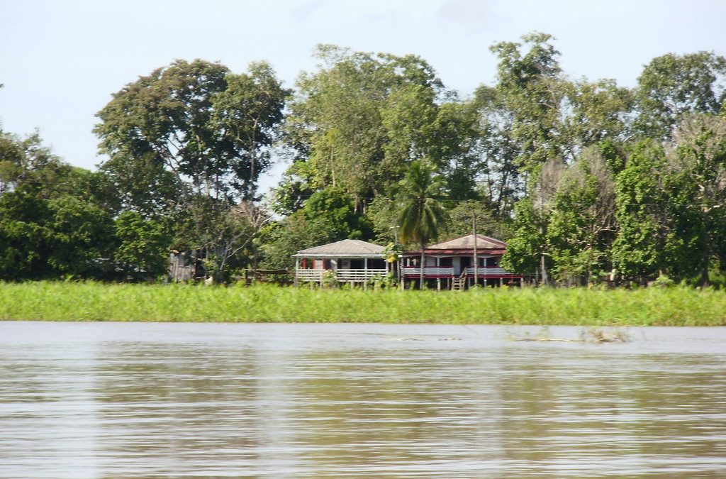 Artigo: A outra margem