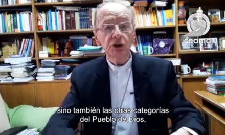 Cardeal Claúdio Hummes estima retomada e a implementação das tarefas da Conferência Eclesial da Amazônia em 2022.