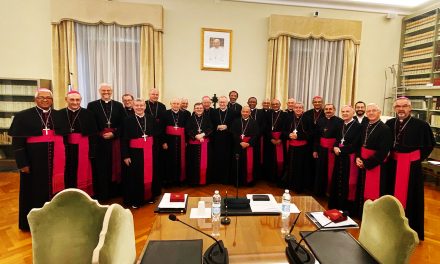 Bispos dos Regionais Norte 2 e 3 da CNBB são recebidos pelo Papa Francisco em Roma
