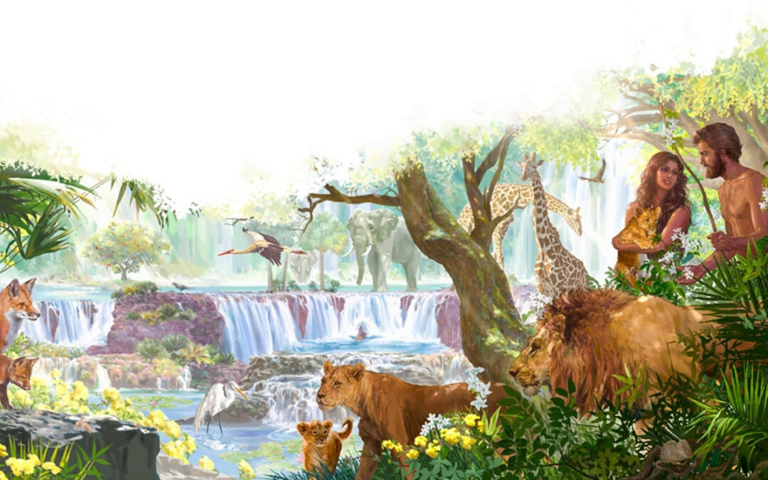 O SEXTO DIA DA CRIAÇÃO E A CAMPANHA DA FRATERNIDADE 2025