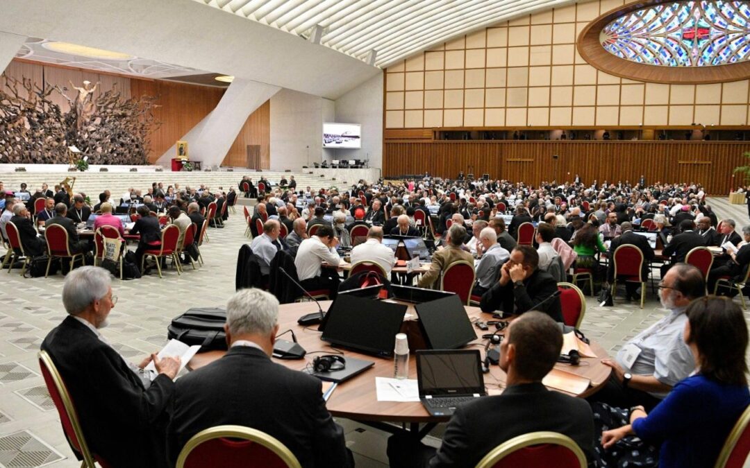 PAPA FRANCISCO APROVA CAMINHO DE ACOMPANHAMENTO DO SÍNODO