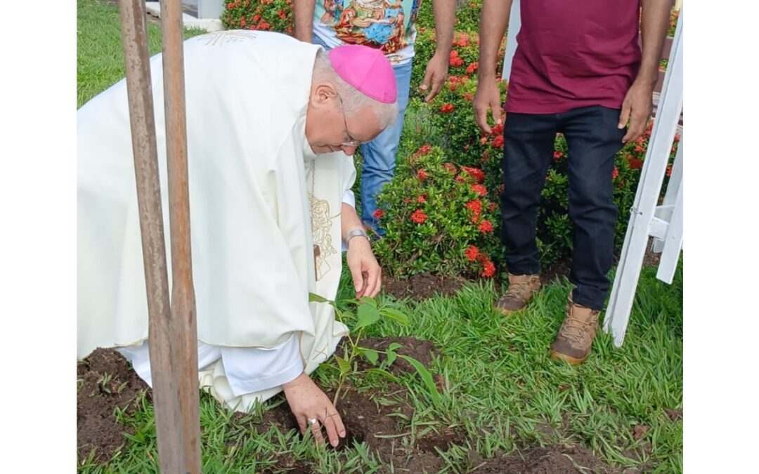 DIOCESE DE ÓBIDOS REALIZA PLANTIO DE MUDAS DE IPÊ-AMARELO EM HOMENAGEM AO PAPA FRANCISCO