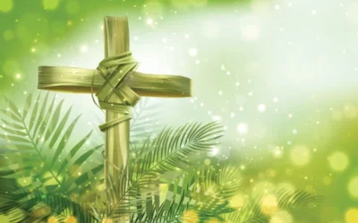 DOM IONILTON LISBOA COMPARTILHA REFLEXÃO SOBRE O EVANGELHO DO DOMINGO DE RAMOS DO ANO C DE NOSSA LITURGIA: LUCAS 22,14-23,56