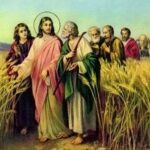 DOM IRINEU ROMAN ENVIA PROPOSTA LITÚRGICA COM SUGESTÃO PARA O 16º DOMINGO DO TEMPO COMUM