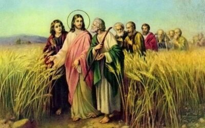 DOM IRINEU ROMAN ENVIA PROPOSTA LITÚRGICA COM SUGESTÃO PARA O 16º DOMINGO DO TEMPO COMUM