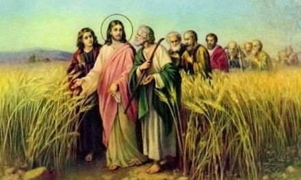 DOM IRINEU ROMAN ENVIA PROPOSTA LITÚRGICA COM SUGESTÃO PARA O 16º DOMINGO DO TEMPO COMUM