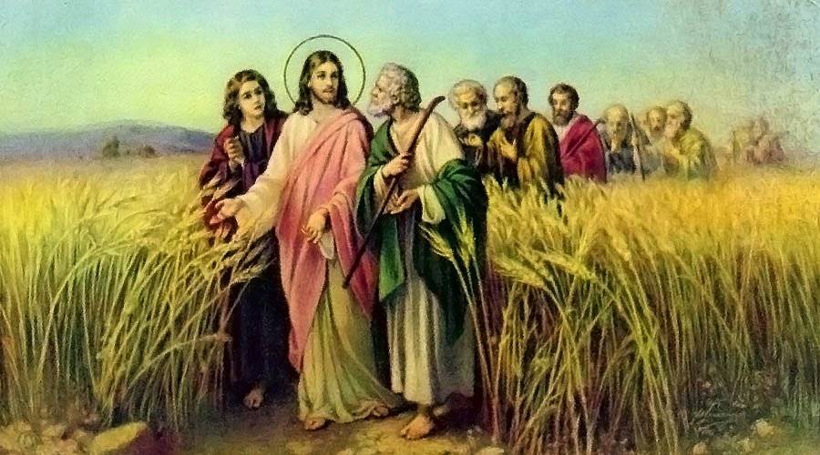 DOM IRINEU ROMAN ENVIA PROPOSTA LITÚRGICA COM SUGESTÃO PARA O 16º DOMINGO DO TEMPO COMUM