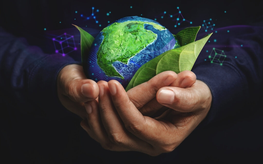 10 ANOS DA LAUDATO SI’: UM CLAMOR QUE CONTINUA ATUAL!