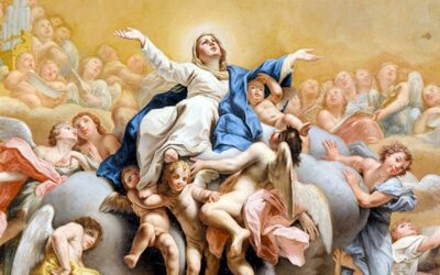 DOM IRINEU ROMAN ENVIA PROPOSTA LITÚRGICA COM SUGESTÃO PARA A SOLENIDADE DE ASSUNÇÃO DA BEM-AVENTURADA VIRGEM MARIA