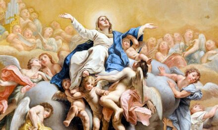 DOM IRINEU ROMAN ENVIA PROPOSTA LITÚRGICA COM SUGESTÃO PARA A SOLENIDADE DE ASSUNÇÃO DA BEM-AVENTURADA VIRGEM MARIA