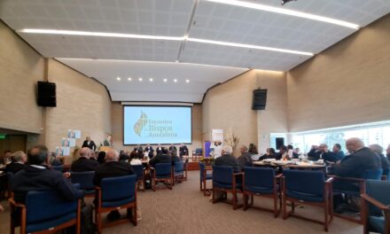 ENCONTRO DOS BISPOS DA AMAZÔNIA DEBATE NOVOS CAMINHOS PARA A IGREJA E ECOLOGIA INTEGRAL