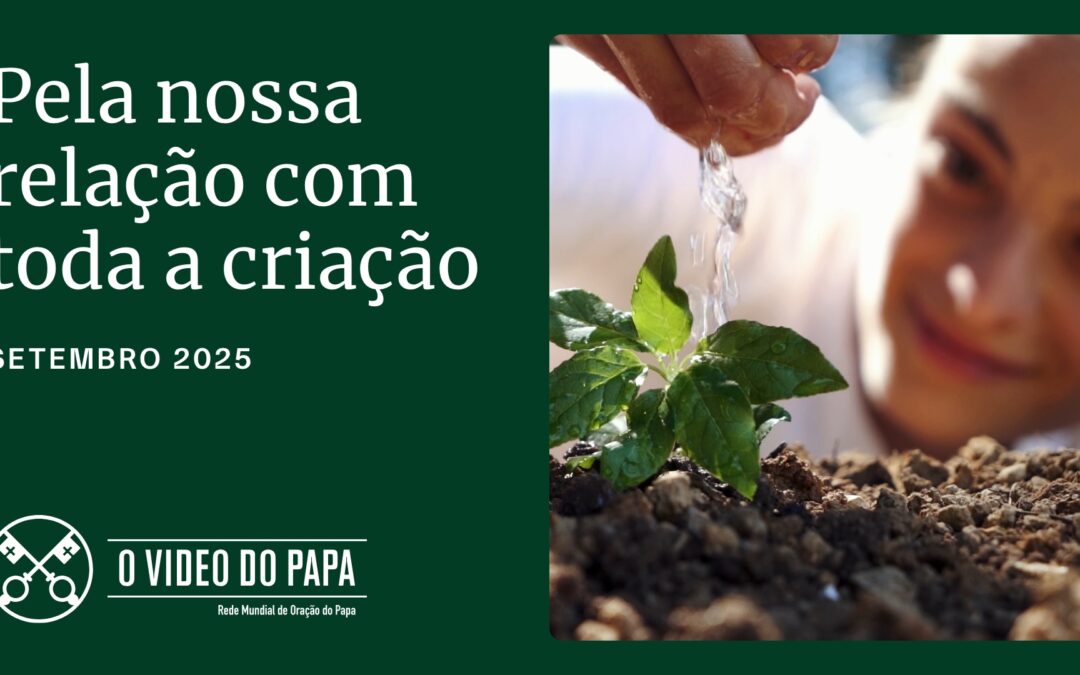 PAPA LEÃO XIV: “TODAS AS CRIATURAS SÃO AMADAS POR DEUS E DIGNAS DE AMOR E RESPEITO”
