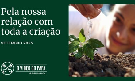 PAPA LEÃO XIV: “TODAS AS CRIATURAS SÃO AMADAS POR DEUS E DIGNAS DE AMOR E RESPEITO”