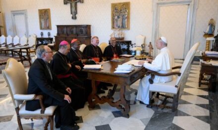 CONFERÊNCIAS EPISCOPAIS DO SUL GLOBAL PEDEM VOZ UNIFICADA DA IGREJA E AÇÕES CONCRETAS DIANTE DA COP30