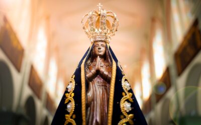 DOM IRINEU ROMAN ENVIA PROPOSTA LITÚRGICA COM SUGESTÃO PARA A SOLENIDADE DA BEM-AVENTURADA VIRGEM MARIA DA CONCEIÇÃO APARECIDA