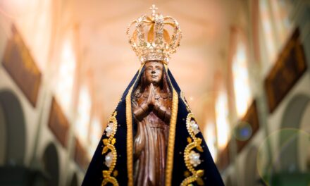 DOM IRINEU ROMAN ENVIA PROPOSTA LITÚRGICA COM SUGESTÃO PARA A SOLENIDADE DA BEM-AVENTURADA VIRGEM MARIA DA CONCEIÇÃO APARECIDA