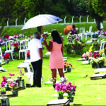 Dom Irineu Roman envia propósta litúrgica com sugestão para o 31º Domingo do tempo comum / Ano C