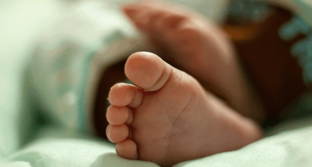 DEFENDER A VIDA SEMPRE: CNBB MANIFESTA PREOCUPAÇÃO COM DECISÕES JUDICIAIS SOBRE O ABORTO