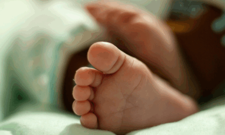 DEFENDER A VIDA SEMPRE: CNBB MANIFESTA PREOCUPAÇÃO COM DECISÕES JUDICIAIS SOBRE O ABORTO