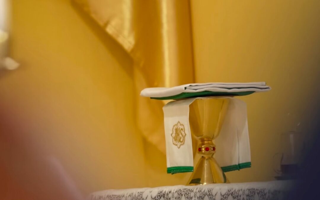 A PRESENÇA VIVA DA IGREJA CATÓLICA NA AMAZÔNIA: FÉ QUE RESISTE E FLORESCE ENTRE RIOS E COMUNIDADES