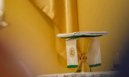 A PRESENÇA VIVA DA IGREJA CATÓLICA NA AMAZÔNIA: FÉ QUE RESISTE E FLORESCE ENTRE RIOS E COMUNIDADES