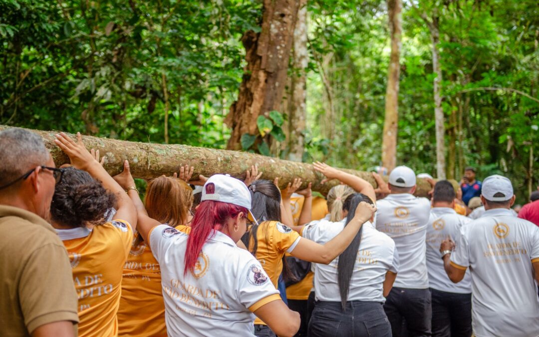 RETIRADA DO MASTRO DE SÃO BENEDITO DÁ INÍCIO AOS FESTEJOS TRADICIONAIS NA DIOCESE DE XINGU ALTAMIRA