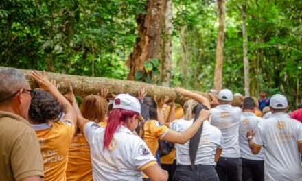 RETIRADA DO MASTRO DE SÃO BENEDITO DÁ INÍCIO AOS FESTEJOS TRADICIONAIS NA DIOCESE DE XINGU ALTAMIRA