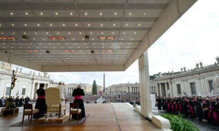 DURANTE AUDIÊNCIA GERAL PAPA LEÃO XIV FAZ CHAMADO À PAZ NA VÉSPERA DO NATAL