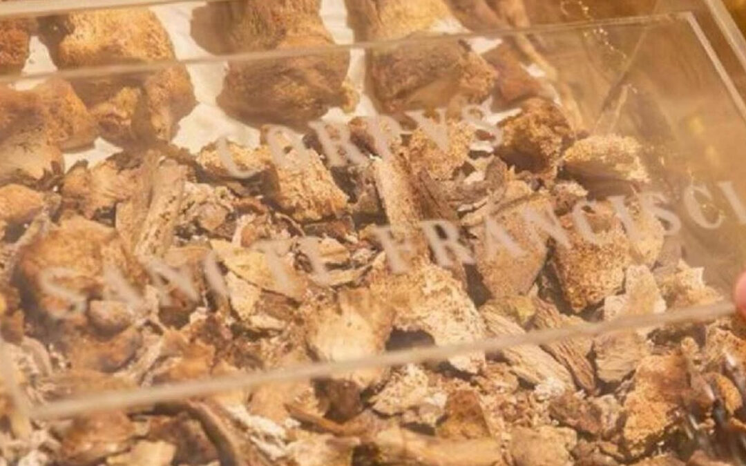 RESTOS MORTAIS DE SÃO FRANCISCO EXPOSTO EM ASSIS “UM CONVITE À REFLEXÃO EM PLENO ANO JUBILAR”