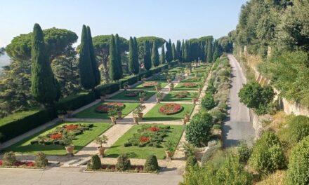 GLOBAL ALLIANCE NASCE NO VATICANO PARA FORTALECER A ECOLOGIA INTEGRAL NO MUNDO