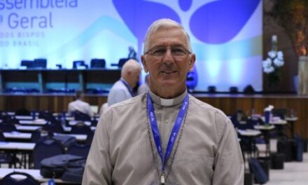 DIVIDIDOS POR REGIONAIS BISPOS ANALISAM TEXTO DAS DIRETRIZES GERAIS DA AÇÃO EVANGELIZADORA NO BRASIL