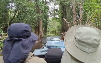 AS NOVAS DIRETRIZES PARA A EVANGELIZAÇÃO NO BRASIL ‘ALARGA A TENDA DE MUITOS RIOS’ DESDE A AMAZONIA