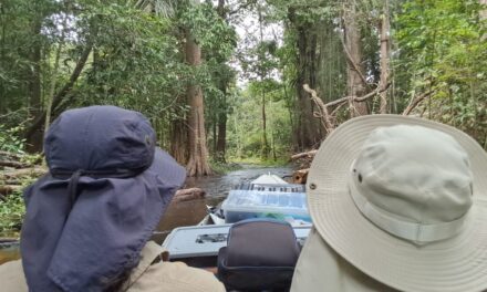 AS NOVAS DIRETRIZES PARA A EVANGELIZAÇÃO NO BRASIL ‘ALARGA A TENDA DE MUITOS RIOS’ DESDE A AMAZONIA