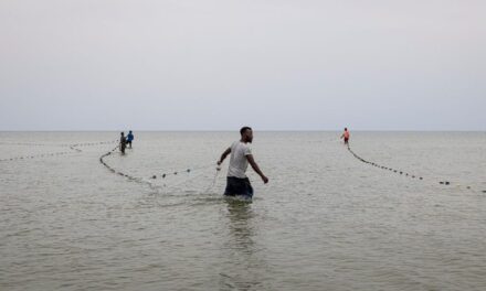 VATICANO DESTACA O “ROSTO HUMANO DO MAR” E PEDE PROXIMIDADE COM MARÍTIMOS NO DOMINGO DO MAR 2026