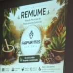 PROGRAMA FARMAFITTOS TEM PROJETOS APROVADOS PELO CONSELHO MUNICIPAL DE SAÚDE DE SANTARÉM