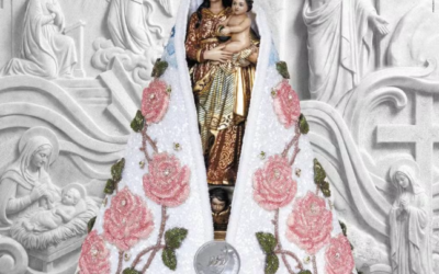 Maria, missionária que nos dá Jesus